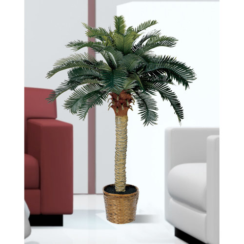 Bay Isle Home Artificial Palm Tree in Basket & Reviews Wayfair